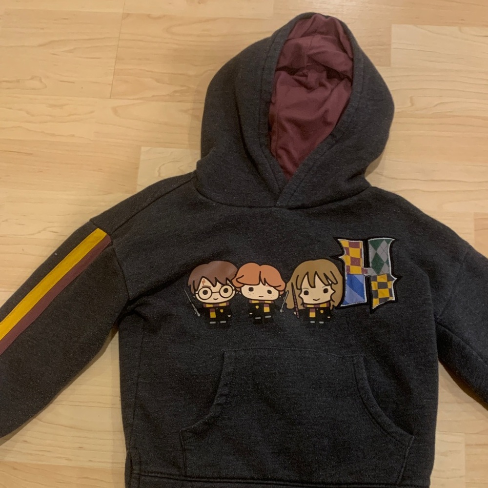 Harry Potter Gray Hoodie with Characters Harry, Ron, and Hermione, size 4T